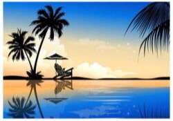 Beautiful Palm Summer Vector