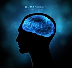 Blue brain man’s head like shear
