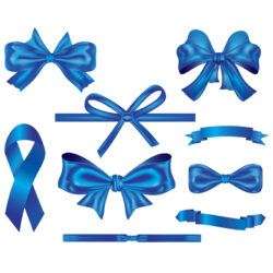 9 blue butterfly bow and ribbon
