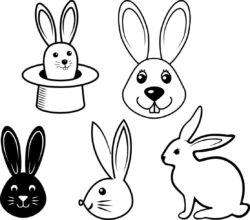 Bunny outline vector