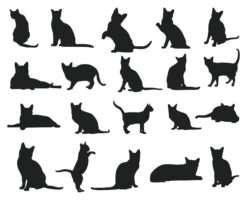Cat animal silhouettes