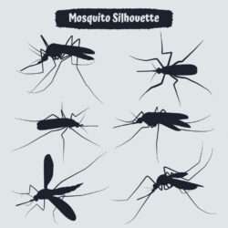 Collection of animal mosquito silhouettes