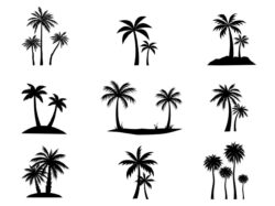 Collection of Black Coconut trees Icon