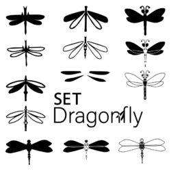 Collection of black dragonfly silhouette