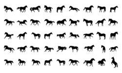 Collection of horses silhouettes set