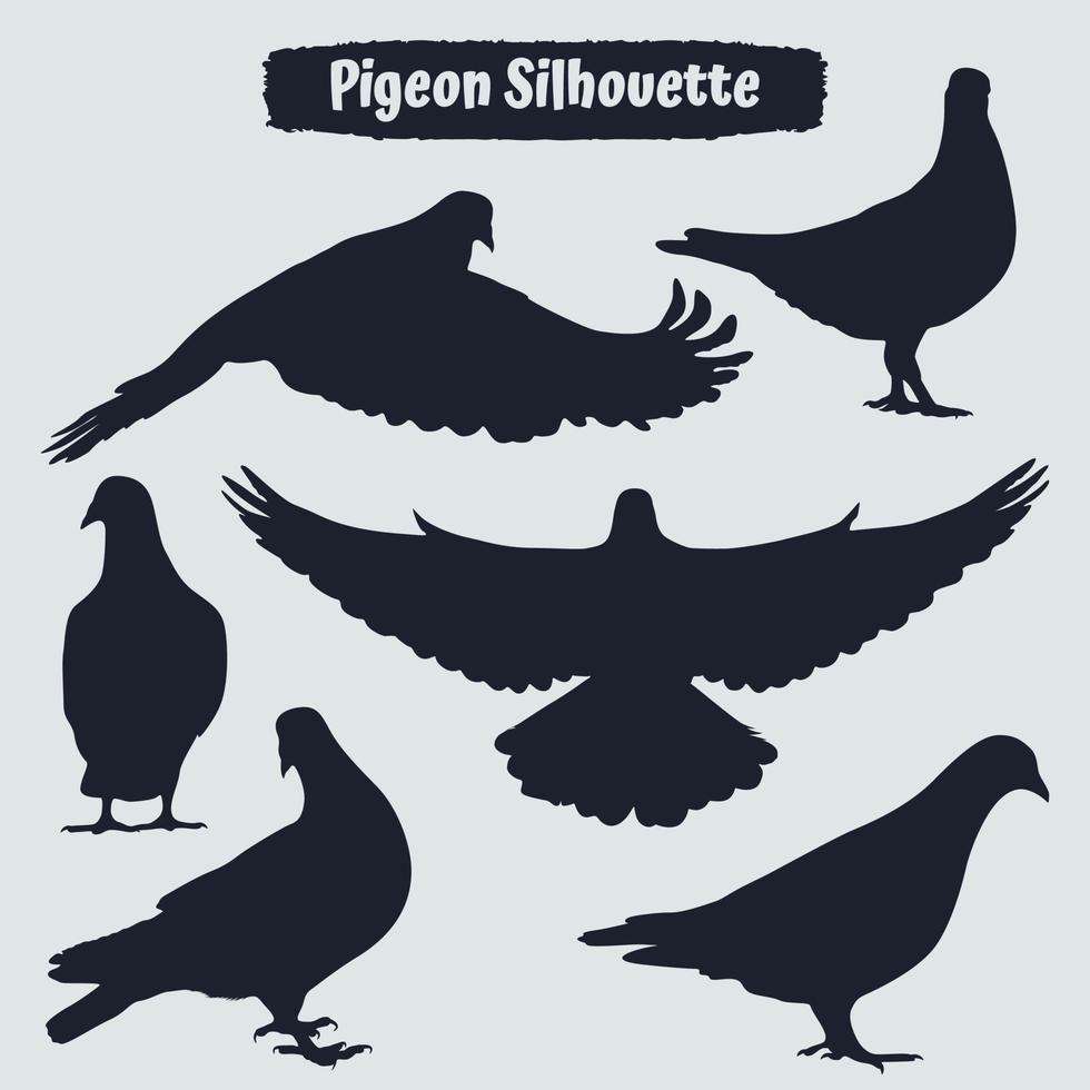 Collection of Pigeon silhouettes in different positions