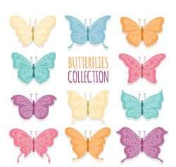 11 color butterfly