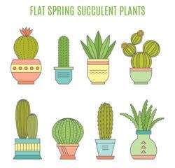 Creative cactus collection