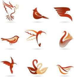 Different colorful birds vector