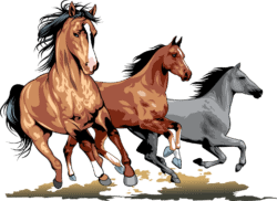 Different running horses vector