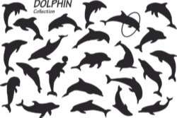Dolphin silhouettes vector