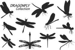 Dragonfly silhouettes vector