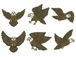 Eagle pack with different poses vector