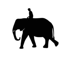 Elephant silhouette