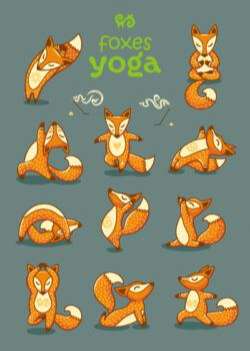 11 fox vector material for yoga