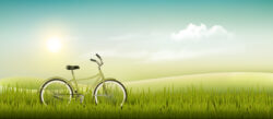 Fresh grass and bicycle