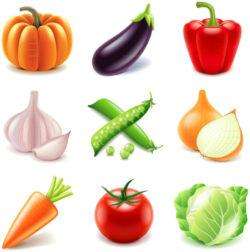 9 fresh vegetable design vector