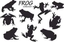 Frog silhouettes collection Vector