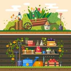 Garden landscape and horticultural tools vector