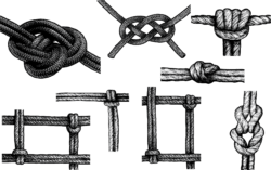 Hand Drawn Knots