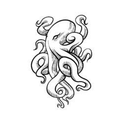 Hand drawn octopus vector