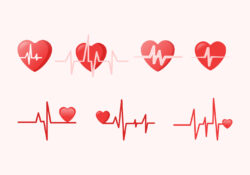 Heart Rhythm Vector
