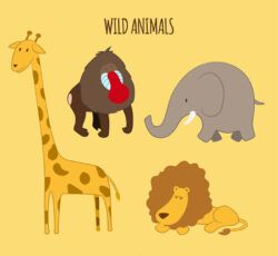 4 kinds of cartoon wild animal