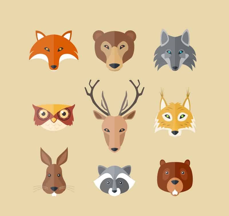 9 kinds of wild animal head