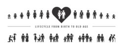 Life cycle and aging process vector