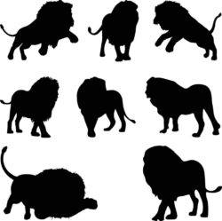 Lion Silhouette collection