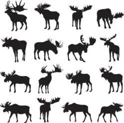 Moose silhouettes vector