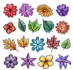 18 painted flowers and leaves vector