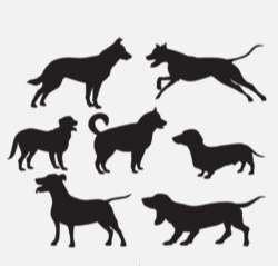 7 pet dog silhouette