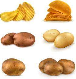 Potatoes and potato chips vector