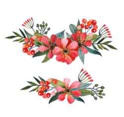 2 red water color flower vector