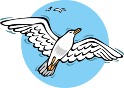 Seagull Vector