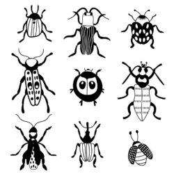 Set of black and white beetles