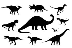 Set of Dinosaur Silhouettes Vector
