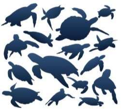 Set of silhouette sea turtles
