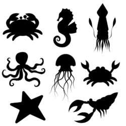 Set of silhouettes of crab