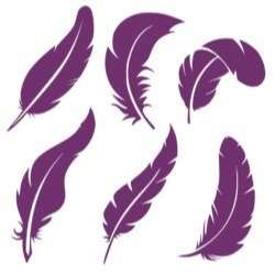 Set of six silhouettes of feathers vector