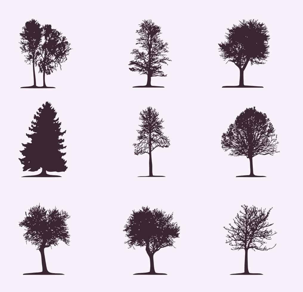 Set of trees 9 pieces vector