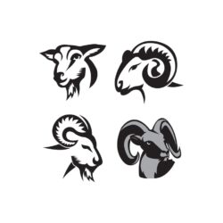 Sheep icon vector