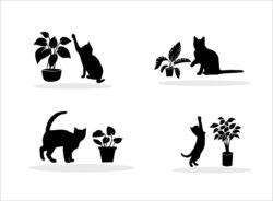 Silhouette Cat and Pot Collection