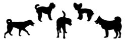 Silhouettes of dogs in different poses