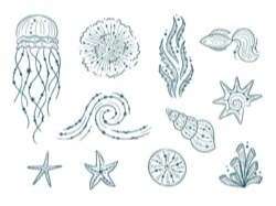 Silhouettes of sea life outline