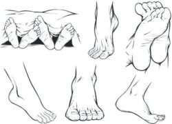 Human foot sketch vector