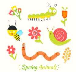 9 spring insects and flower