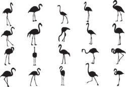 The set of Egret Bird Silhouette collection