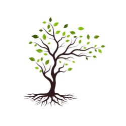 Tree branch vector ilustration